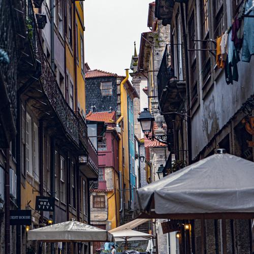 Photo #4215310