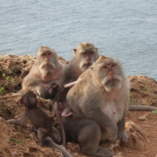 Photo #4215524