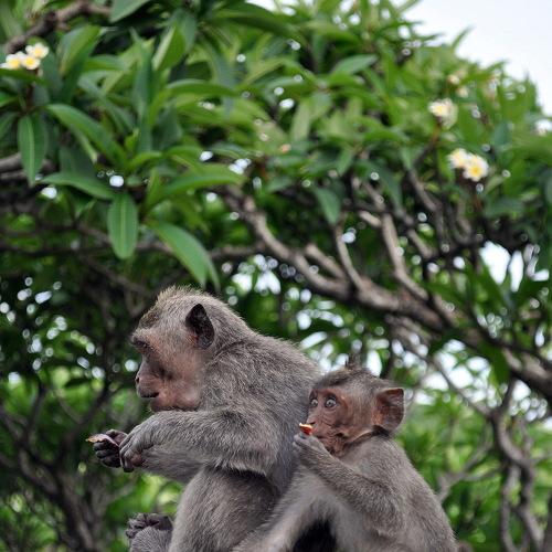 Photo #4215526