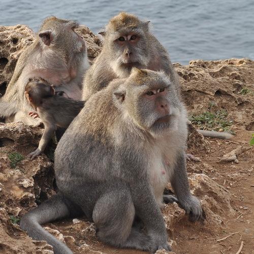 Photo #4215527