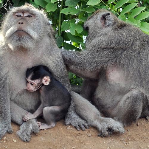 Photo #4215528