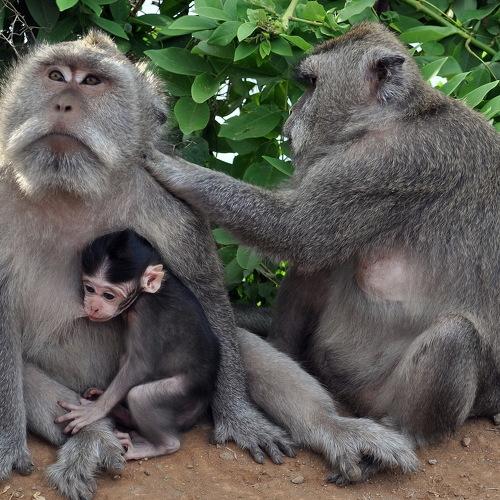 Photo #4215529