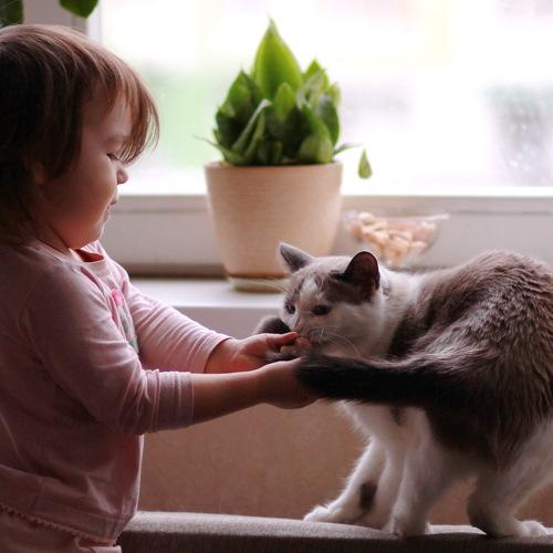 Photo #4215669