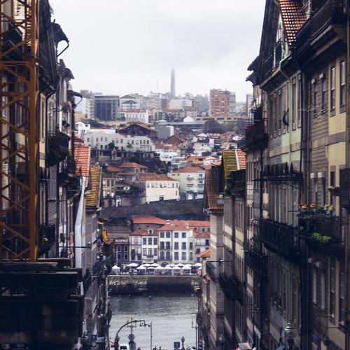 Photo #4215765