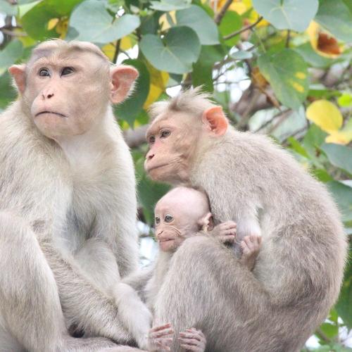 Photo #4215978
