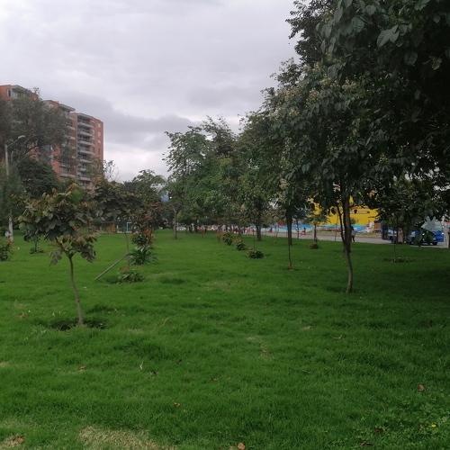 Photo #4216072
