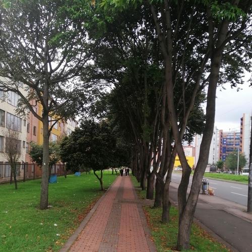 Photo #4216127