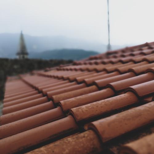 Photo #4216242