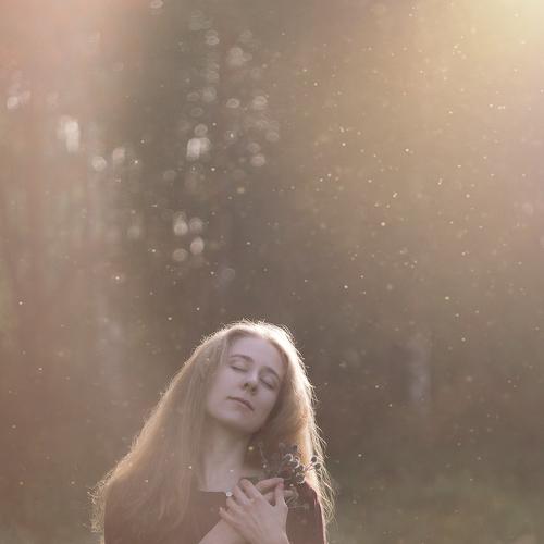 Photo #4216500