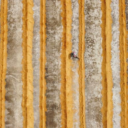 Paddy processing
