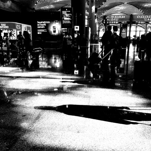 Photo #4216997