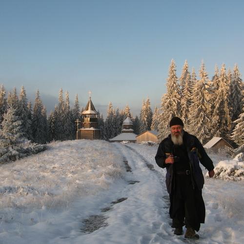 Photo #4217460