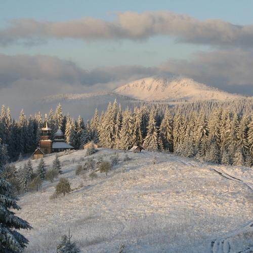 Photo #4217461