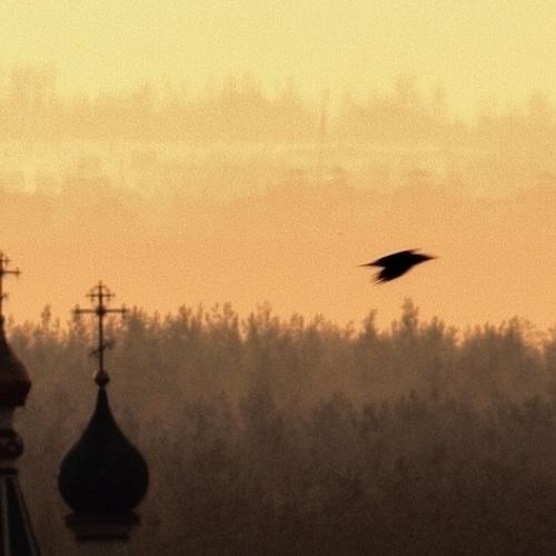 Photo #4217633