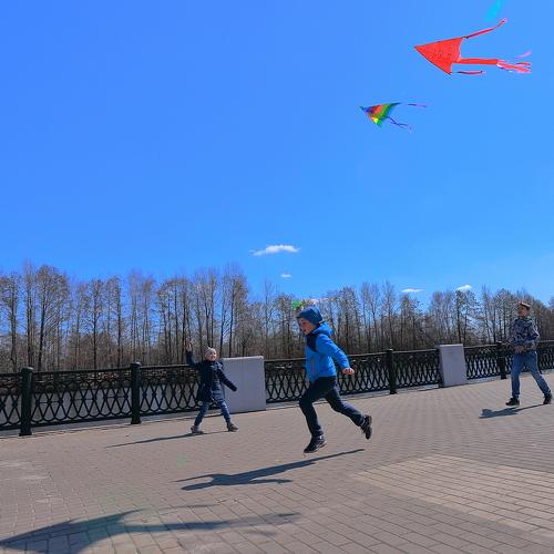 Photo #4217676