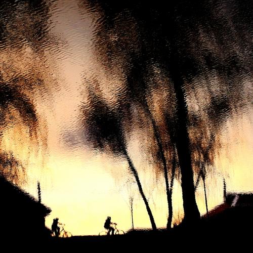 Photo #4217698