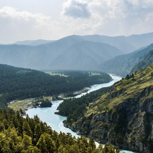 Altay