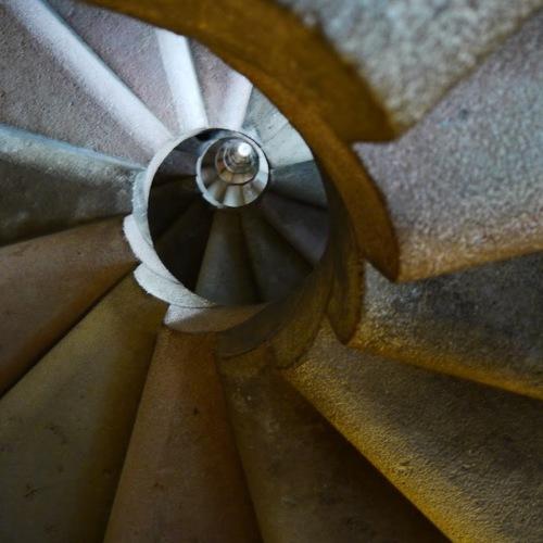 Photo #4218295