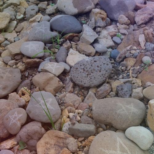 Photo #4218375