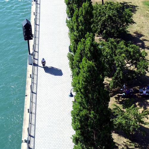 Photo #4218505