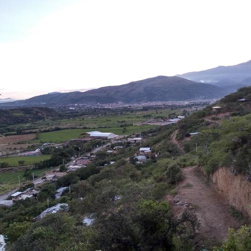Photo #4218584