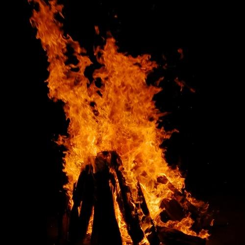 Photo #4218590