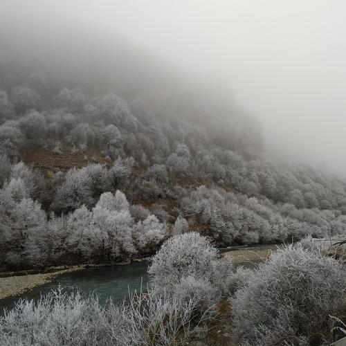 Photo #4218801