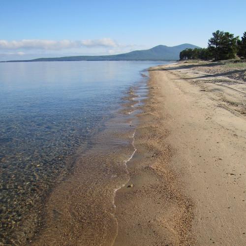 Photo #4218896