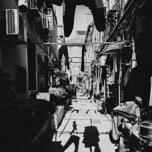 Photo #4219187