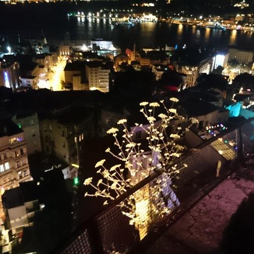 Photo #4219278