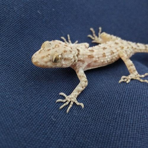 Photo #4219635