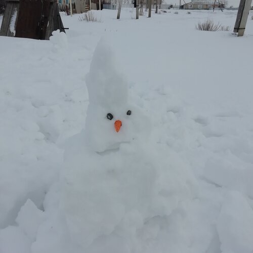 Photo #4220042