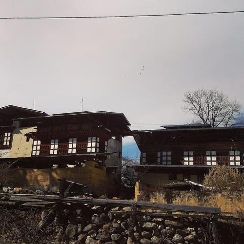 Photo #4220084