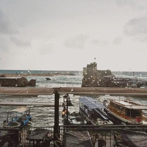 Photo #4220274