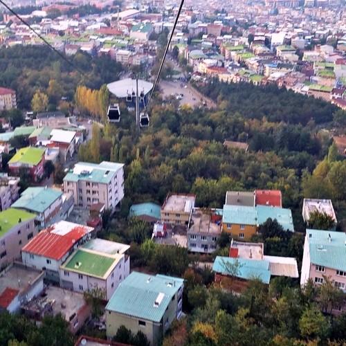 Photo #4220344