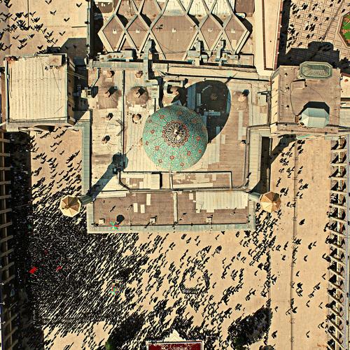 Photo #4220382