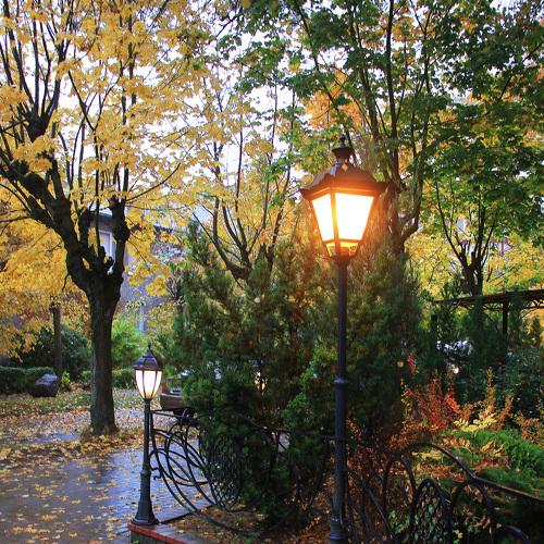 Photo #4220653