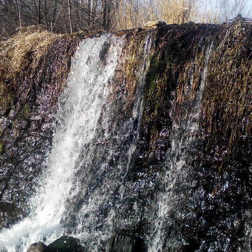 Photo #4220865