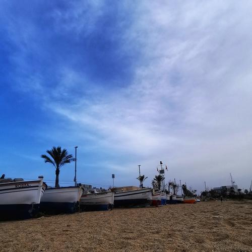 Photo #4221352