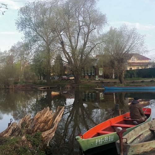 Photo #4222197