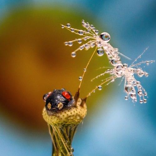 Photo #4222581