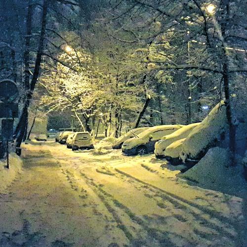 Photo #4223053