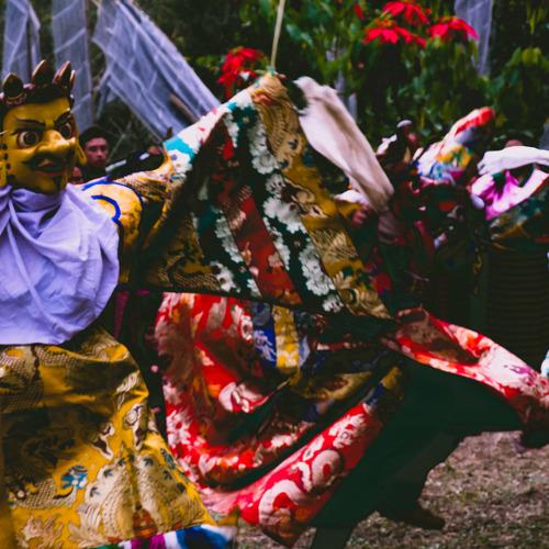 Photo #4223966