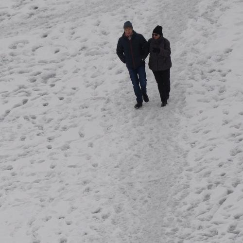 Photo #4224144