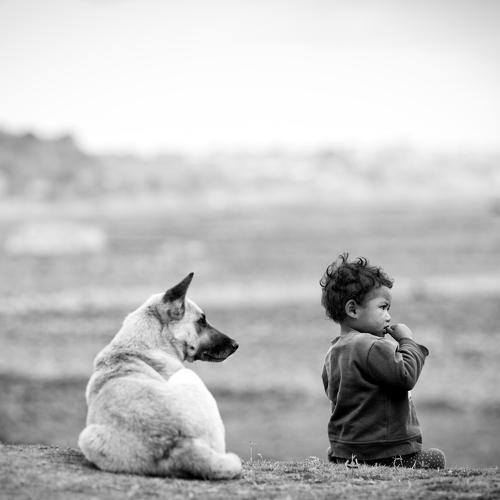 Photo #4224737