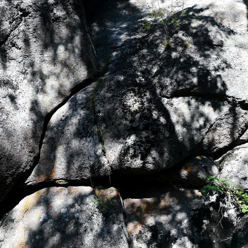 Photo #4224927