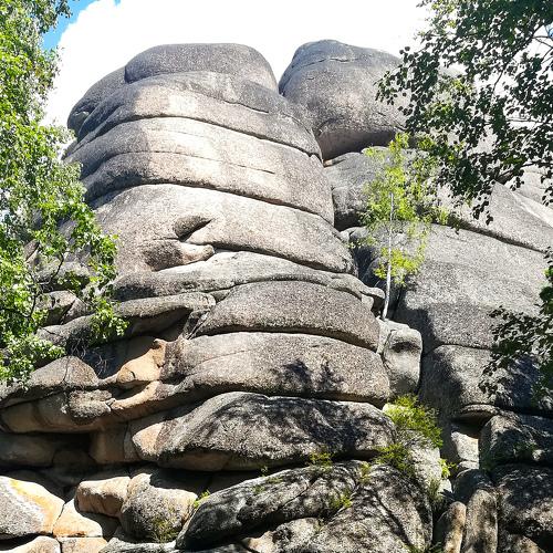 Photo #4224928