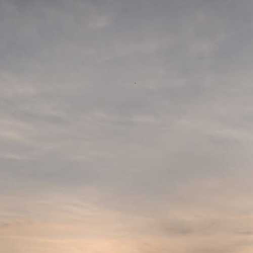 Photo #4225460