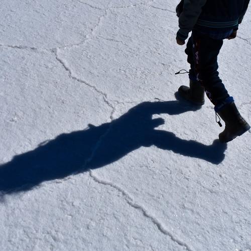 Photo #4225931
