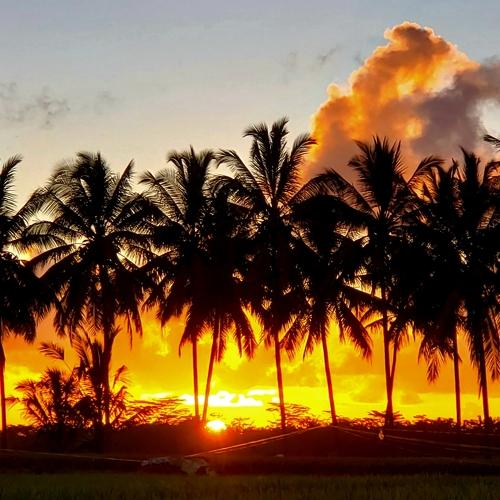 Photo #4226234